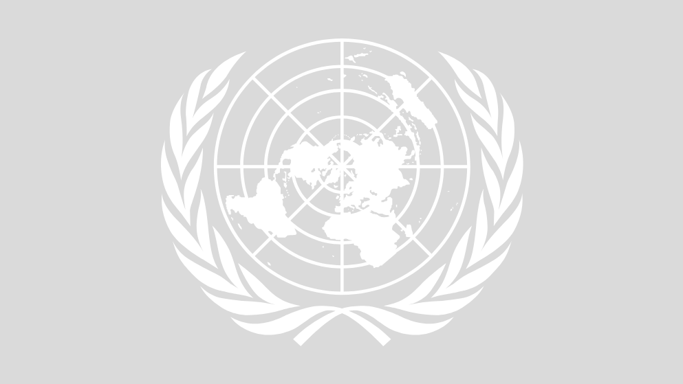 Logo United Nations 