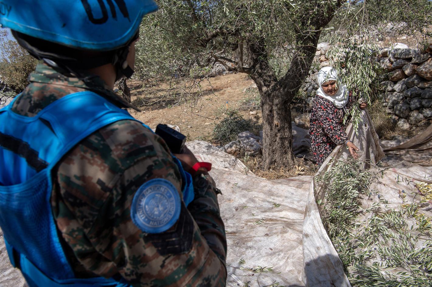 UNIFIL and LAF secure olive harvests near Blue Line