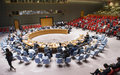 UN Security Council urges Guinea-Bissau to find solution to political crisis, ensure functioning government