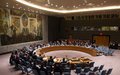 Conselho de Segurança estende mandato do UNIOGBIS por três meses 
