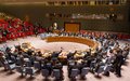 Conselho de Segurança prorroga Mandato do UNIOGBIS