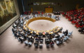 Conselho de Segurança prolonga mandato do escritório da ONU na Guiné-Bissau por mais um ano